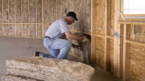 Types of Insulation We Offer in Port St John, FL