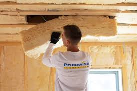 Eco-Friendly or Green Insulation Solutions in Port St John, FL